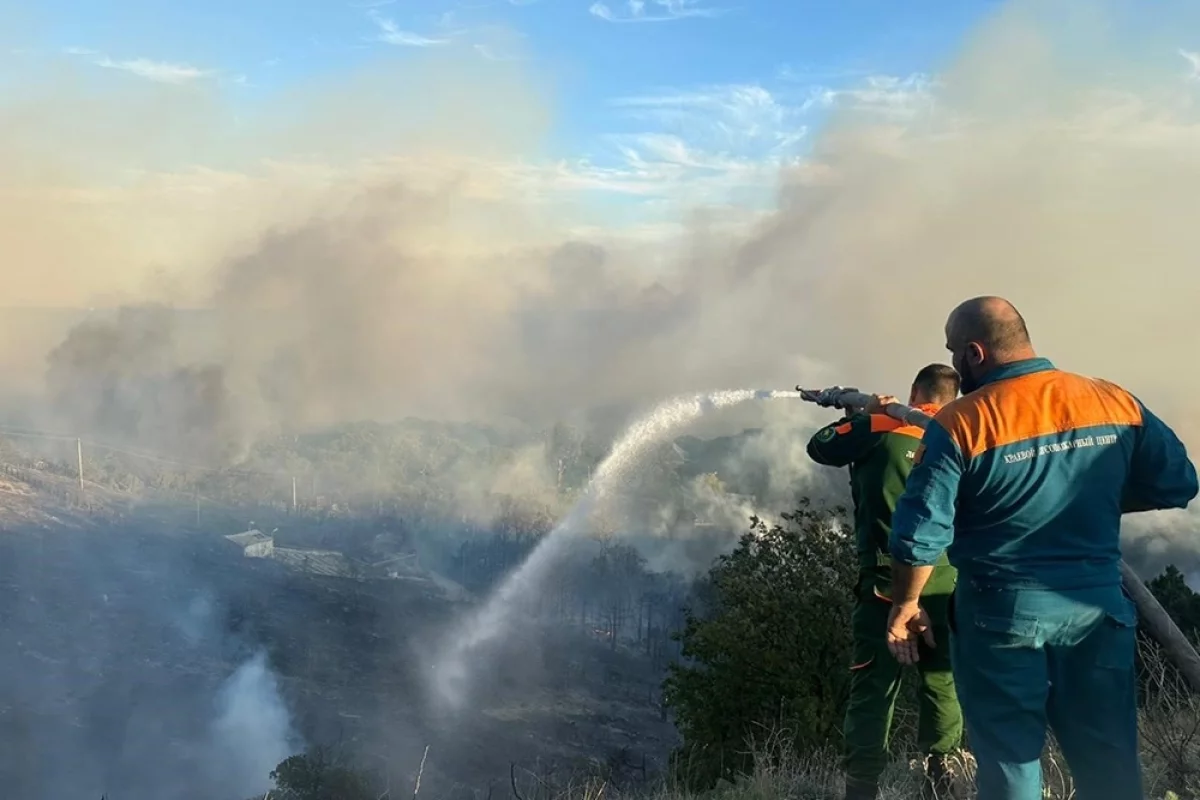 Эколог рассказал, какой урон экосистеме нанес пожар под Новороссийском
Эколог рассказал, какой урон экосистеме нанес пожар под Новороссийском