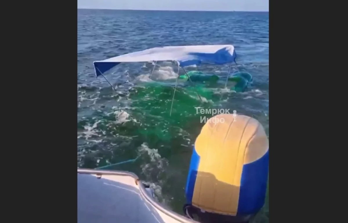 
        Катамаран с отдыхающими ушел под воду в Темрюкском районе Кубани    