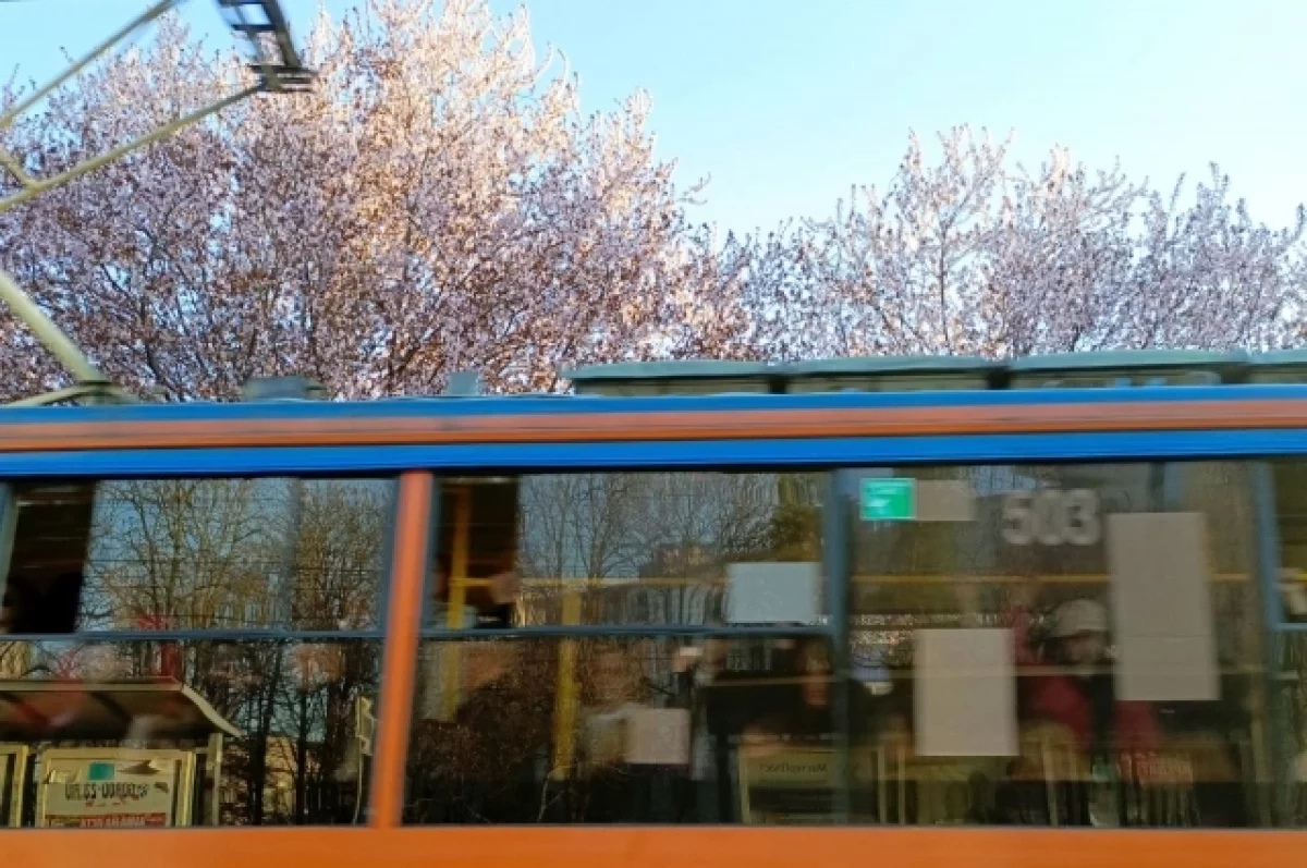  Архитектор Кубани Рысин высказался о строительстве метро в Краснодаре 