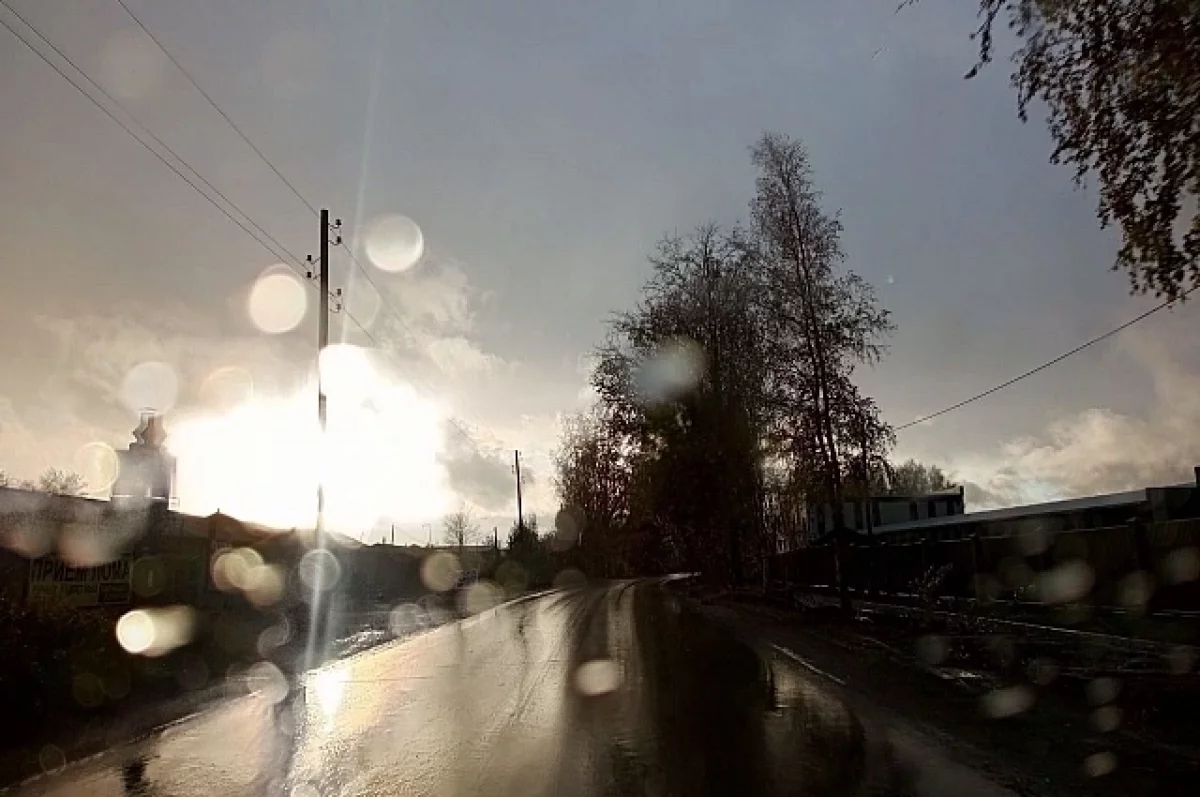 На Кубани 29 октября ожидается дождь и порывистый ветер
На Кубани 29 октября ожидается дождь и порывистый ветер