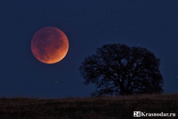 Кровавая луна Кровавая луна
