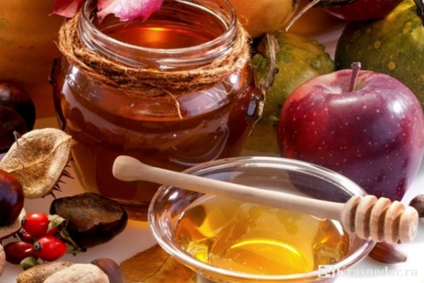 200 видов мёда, ягоды, фрукты и развлечения