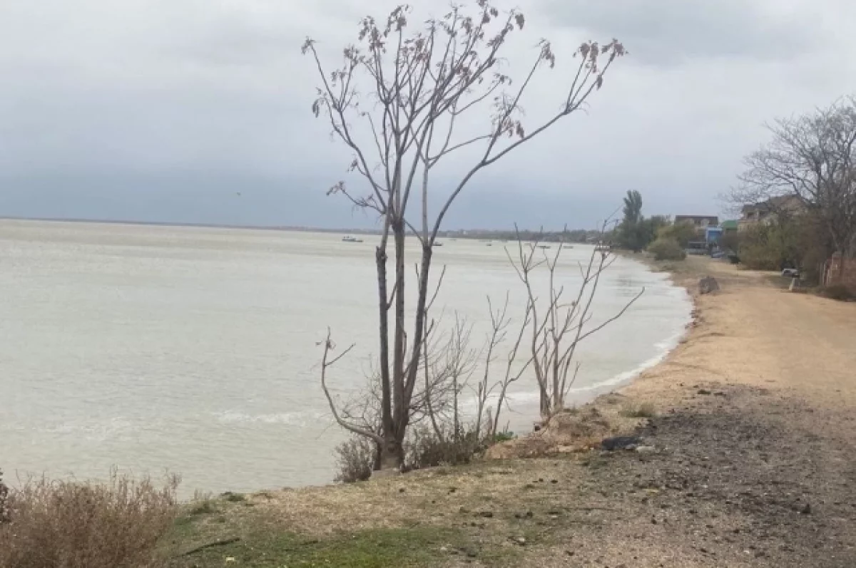 
        Жителей Ейска предупредили о возможной эвакуации в случае подтопления    