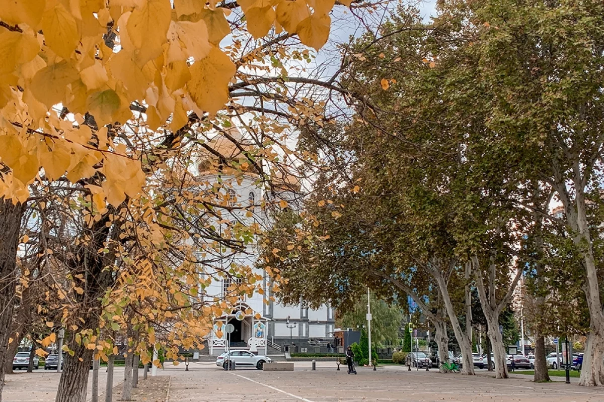 В Краснодарском крае 12 ноября воздух прогреется до +16 градусов
В Краснодарском крае 12 ноября воздух прогреется до +16 градусов