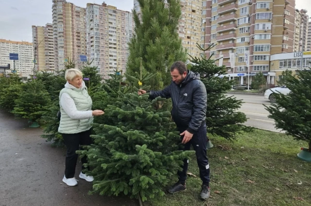 
        Из-за теплой погоды в Краснодаре перенесли дату открытия елочных базаров    