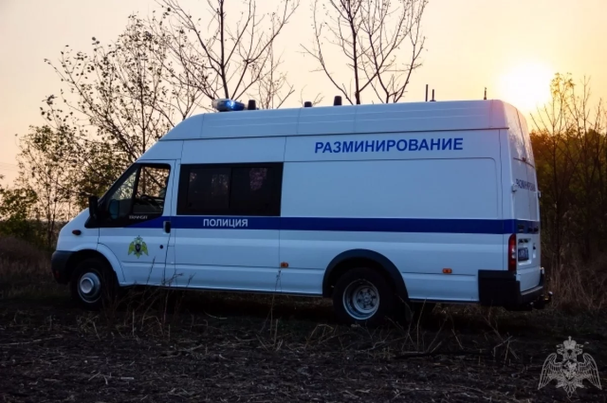 Жителей поселка Ильич на Кубани временно эвакуируют из-за бомбы времен ВОВ
Жителей поселка Ильич на Кубани временно эвакуируют из-за бомбы времен ВОВ