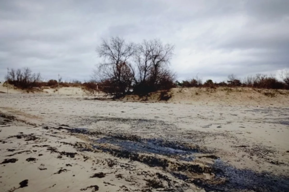 На Кубань привезли установку для откачки нефтепродуктов из затонувших судов
На Кубань привезли установку для откачки нефтепродуктов из затонувших судов