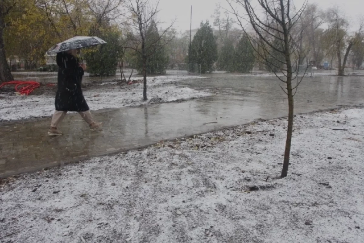 15 декабря на территории края пройдет дождь, местами снег
15 декабря на территории края пройдет дождь, местами снег