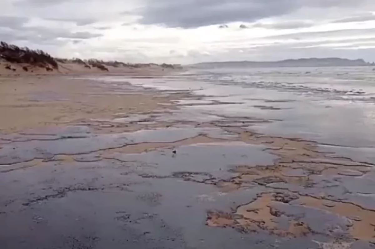 В Краснодарском крае собрали более 17 тонн загрязненного мазутом песка В Краснодарском крае собрали более 17 тонн загрязненного мазутом песка