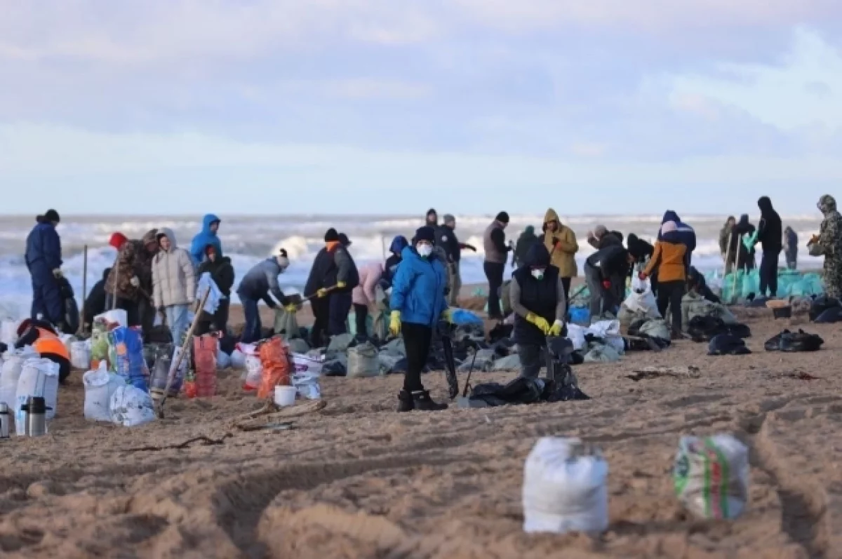 За два дня очистили около 20 км берега от Темрюкского района до Анапы
За два дня очистили около 20 км берега от Темрюкского района до Анапы