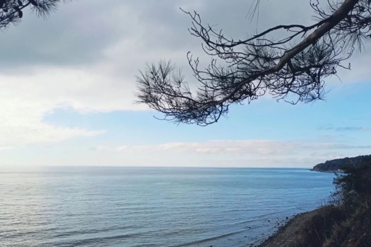 
        Вильфанд спрогнозировал потепление на Кубани    