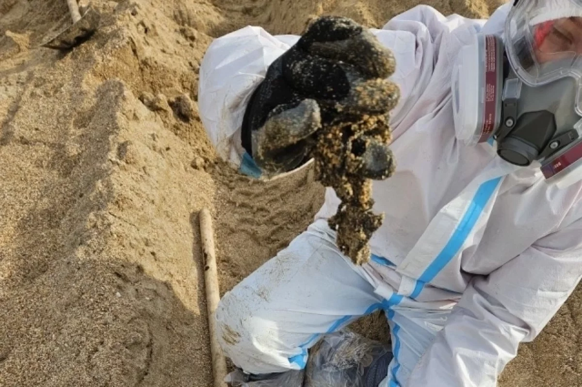 
        На пляжах Анапы и Темрюкского района обнаружили новые выбросы мазута    