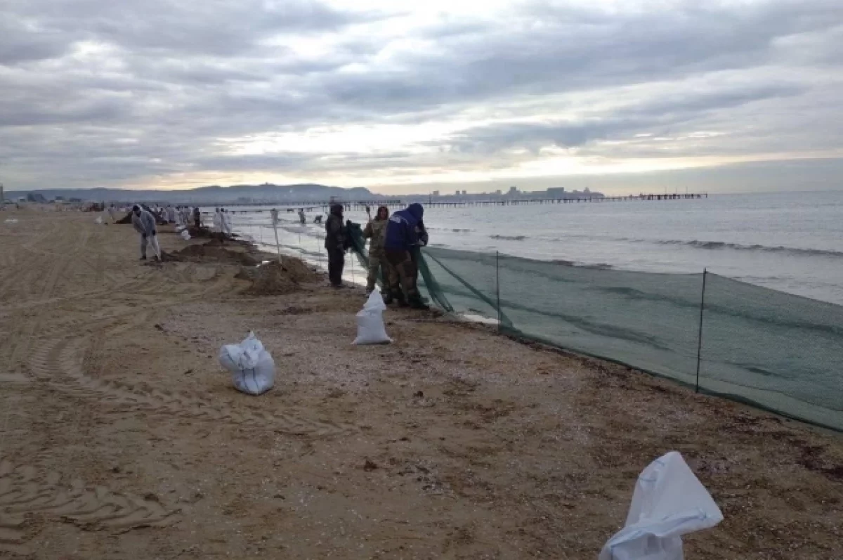 В Анапе тестируют новый способ защиты от мазута очищенного пляжа
В Анапе тестируют новый способ защиты от мазута очищенного пляжа