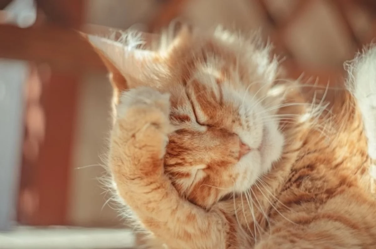 
        В Краснодарском крае ожидается потепление до 16 градусов    