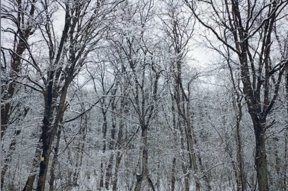  Синоптик Леус: Краснодар в полосе холодного фронта 