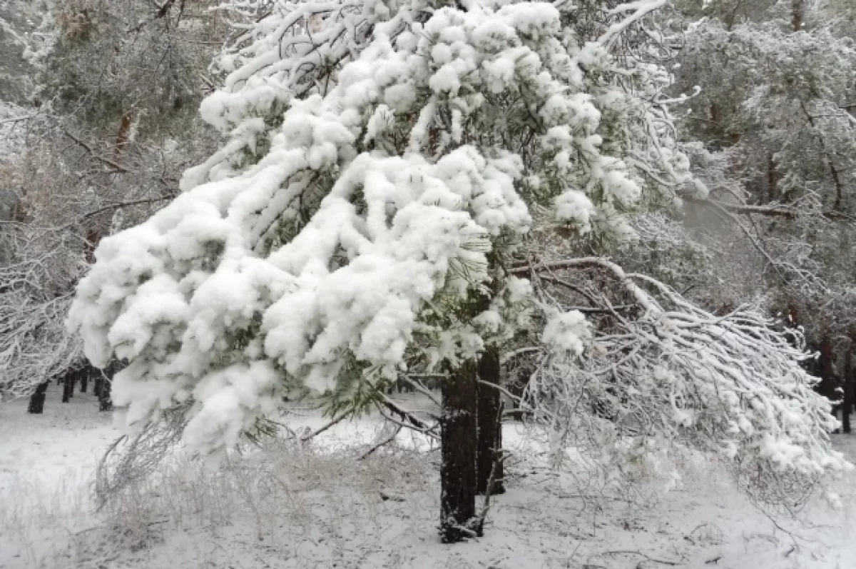 
        На Кубани объявили штормовое предупреждение на 15 &ndash; 17 февраля    