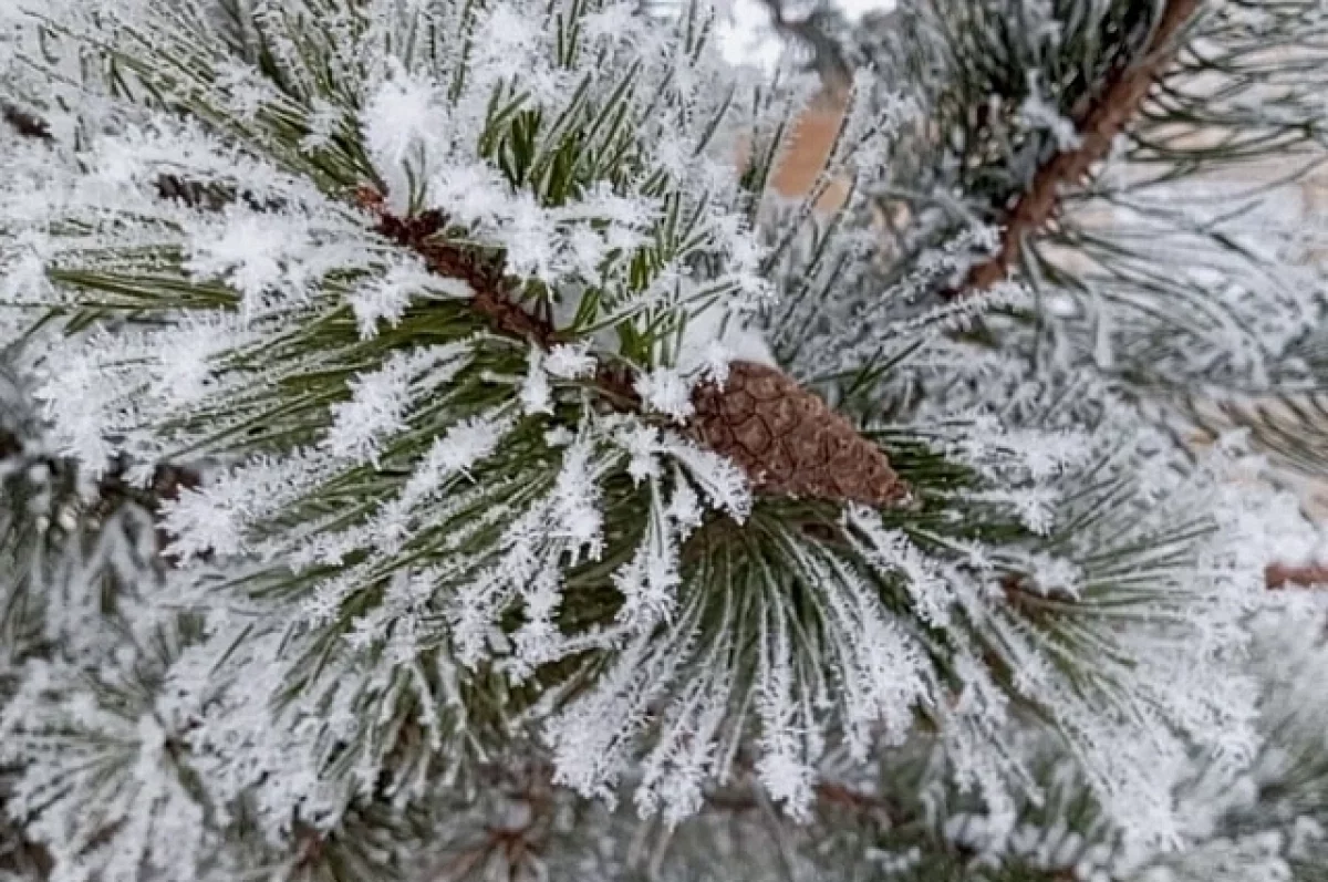 
        На Кубани 9 февраля ожидается мороз и сильный ветер    