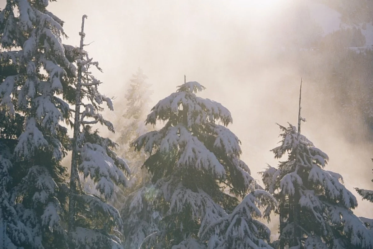 
        В Сочи холода продержатся до 1 марта    