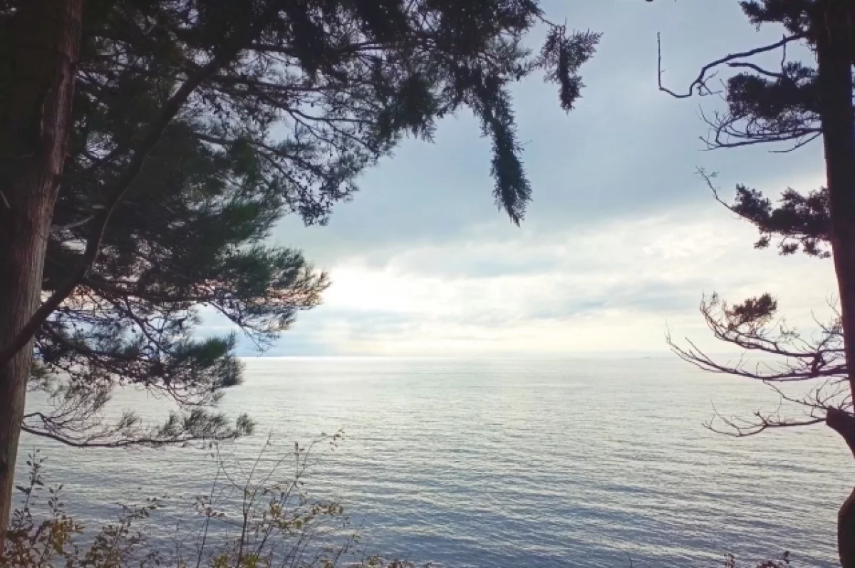 В ночь на 8 марта над Краснодарским краем средствами ПВО отражены 26 БПЛА В ночь на 8 марта над Краснодарским краем средствами ПВО отражены 26 БПЛА