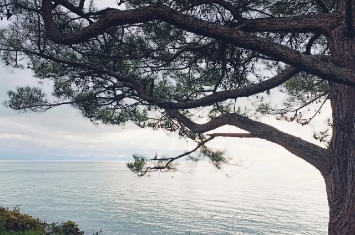 На Кубани 2 марта воздух прогреется до +9 градусов На Кубани 2 марта воздух прогреется до +9 градусов