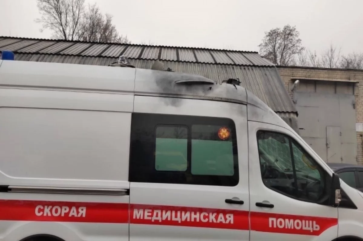 Искусанного собаками мальчика планируют доставить в Москву санавиацией
Искусанного собаками мальчика планируют доставить в Москву санавиацией