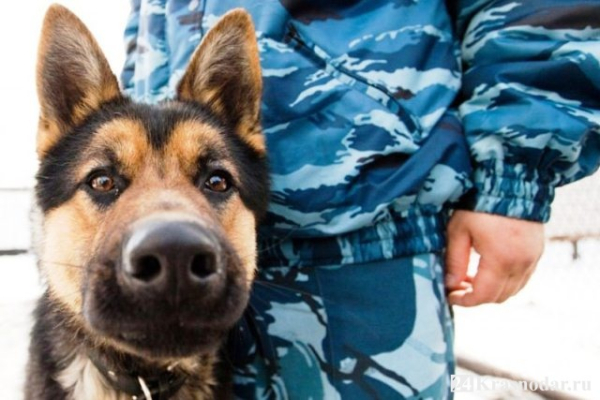 Неизвестный угрожал взорвать чиновников