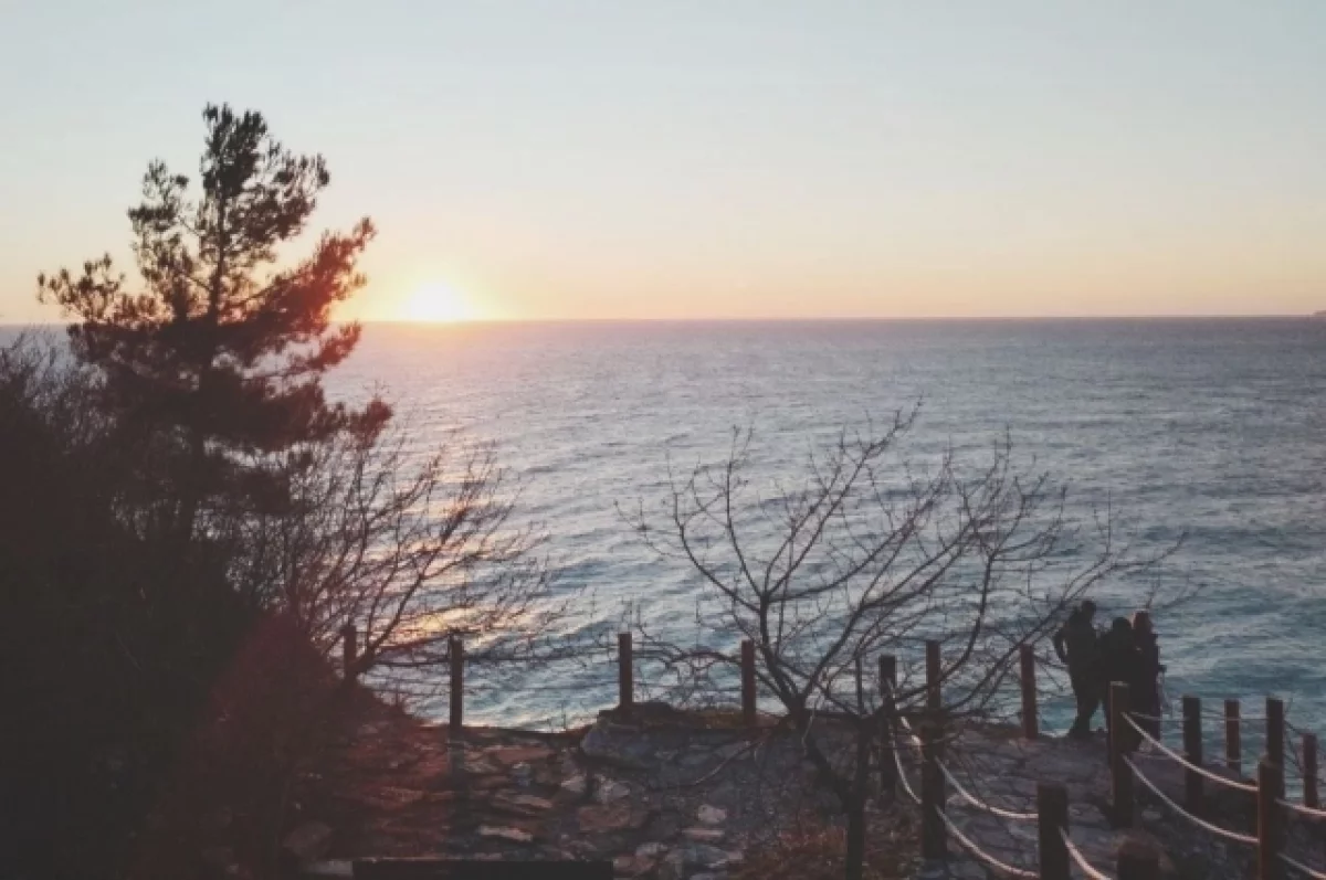 Бастрыкину доложат о проверке детского лагеря с тараканами под Туапсе Бастрыкину доложат о проверке детского лагеря с тараканами под Туапсе